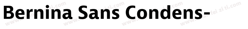 Bernina Sans Condens字体转换